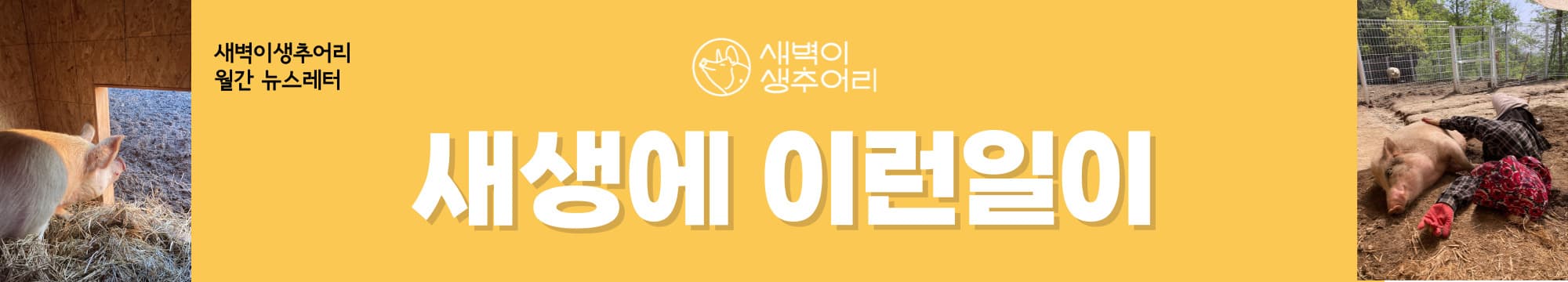 header_image